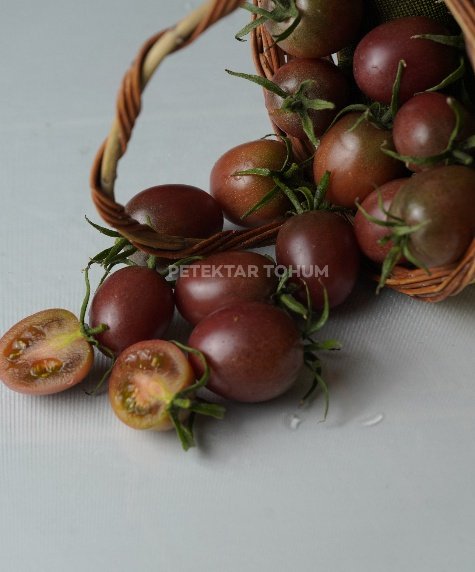 Marianna Domates Çeşidi