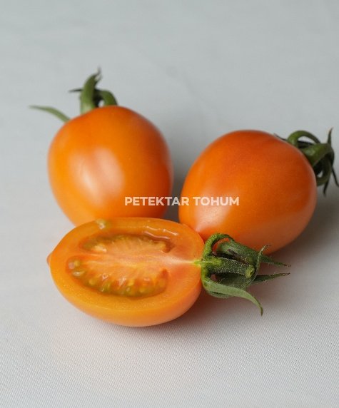 Tropikana 133 Domates Çeşidi