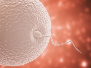 TÜP BEBEK TEDAVİSİ