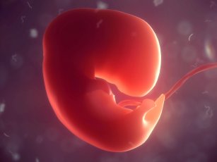 YUMURTA, SPERM, EMBRİYO DONASYONU