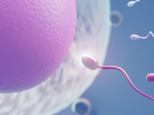 KIBRIS’TA YUMURTA DONASYONU YASAL MI?