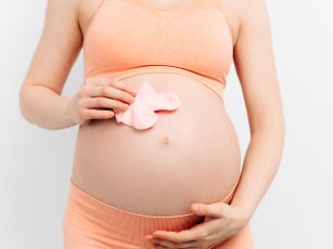 TAŞIYICI ANNE VİKİPEDİ