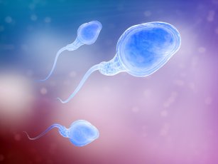 SPERM DONASYONU NASIL YAPILIR