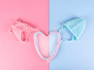 PGT(PGD) YÖNTEMİ İLE CİNSİYET BELİRLEME