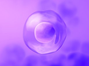 YUMURTA DONDURMA İŞLEMİ NASIL YAPILIR?