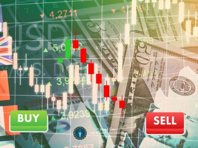 Lisanslı ve Lisanssız Aracı Kurumlarda Yatırımcı Mağduriyetinin Hukuki ve Teknik Açıdan İncelenmesi