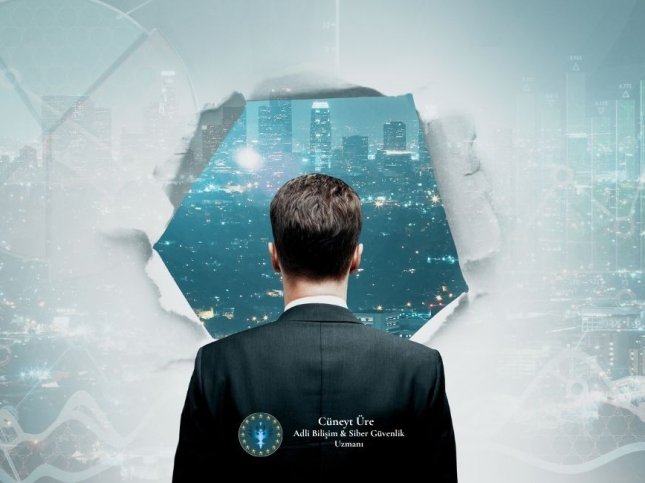 Lisanslı ve Lisanssız Aracı Kurumlarda Yatırımcı Mağduriyetleri: Hukuki, Teknik ve Yargısal İnceleme