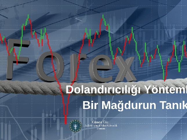 Dolandırıcılığın Yöntemleri ve Bir Mağdurun Tanıklığı