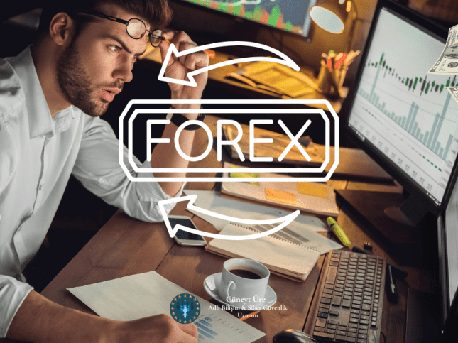 Forex Mağdur Rehberi