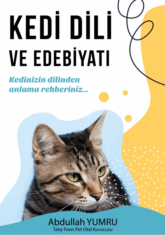 Kediii