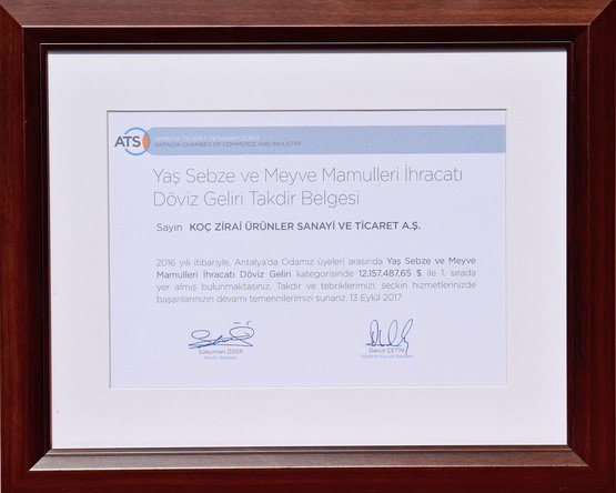 2016 Döviz Geliri Birinciliği