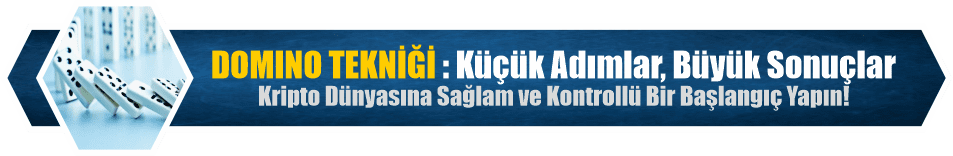 Domino Yeni Banner