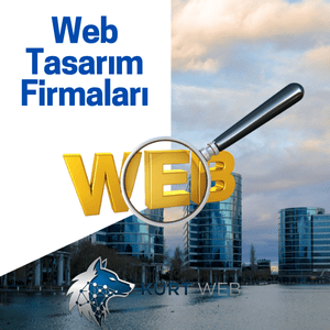 Kırşehir Web Tasarım Firmaları