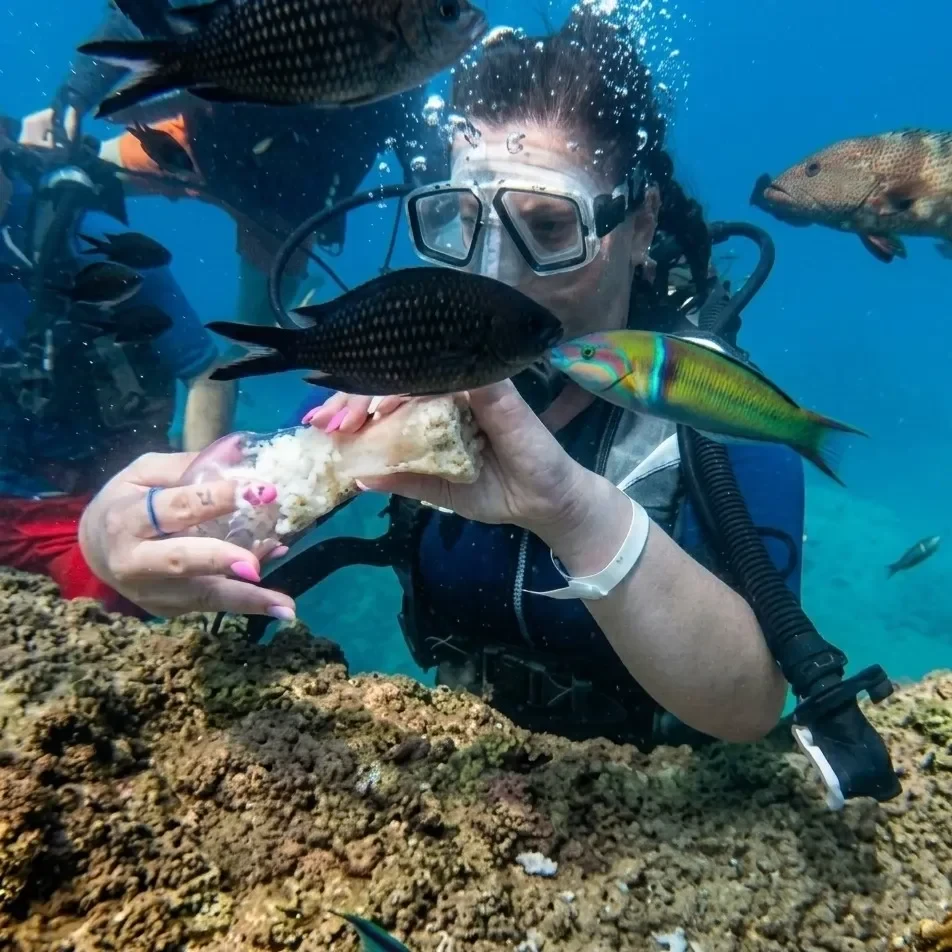 Tekirova Scuba Diving