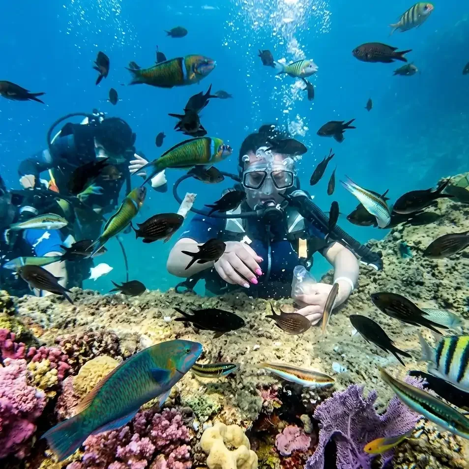 Beldibi Scuba Diving