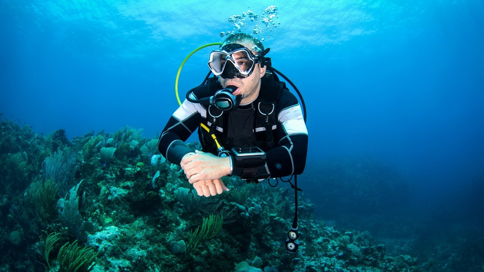 Scuba Diving 17