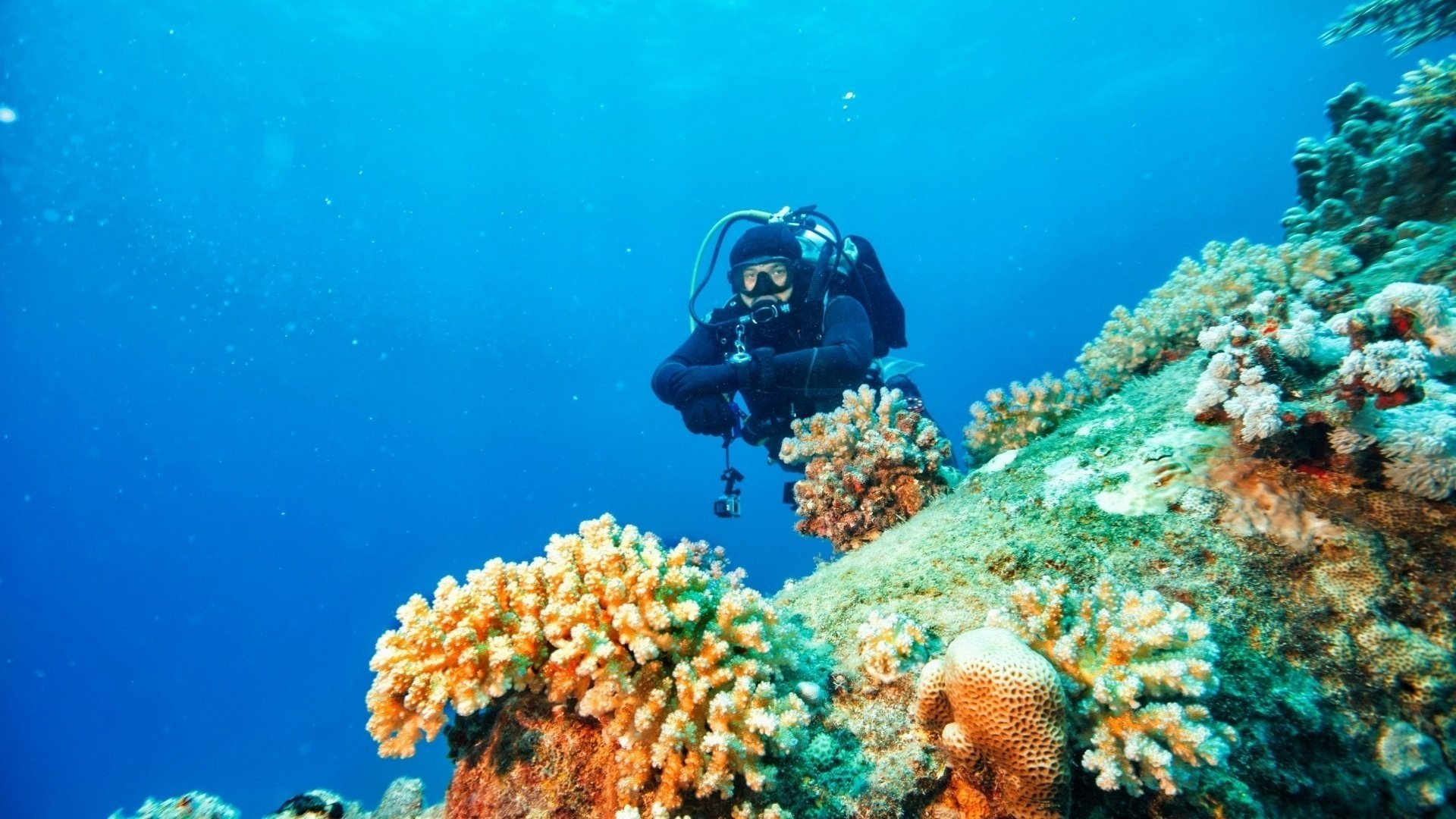 Antalya Tüplü Dalış Scub Diving 6
