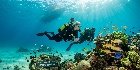 Scuba Diving Kemer 6