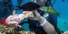 Antalya Scuba Diving 2