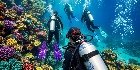 Scuba Diving Activity Departing From Kundu 10