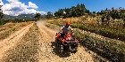 Atv Quad Bike In Antalya 6