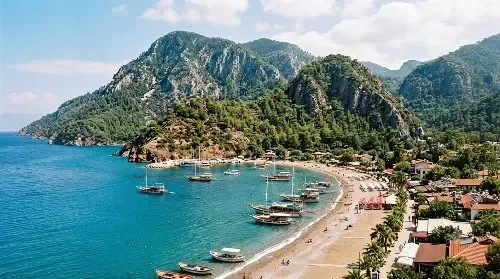 Balıklar arasında mercan tutan dalgıç
