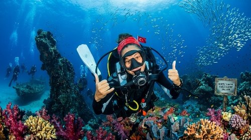 Professional Scuba Diving Photos & Videos 3