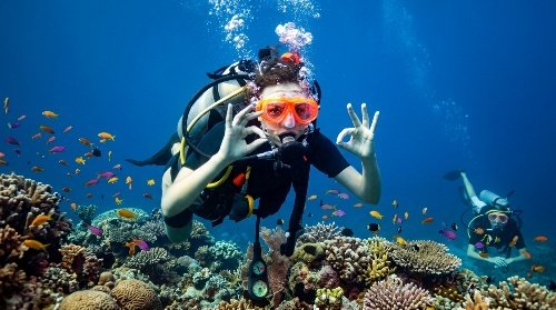 Professional Scuba Diving Photos & Videos 2