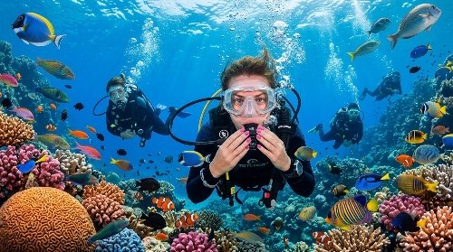 Professional Scuba Diving Photos & Videos 1