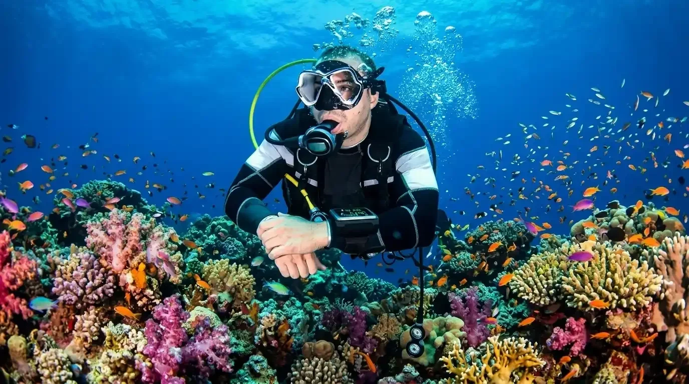 Tüplü Dalış Scuba Diving 4