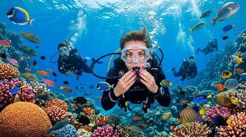 Scuba Di̇vi̇ng 10