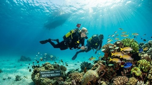 Professional Scuba Diving Photos & Videos 11