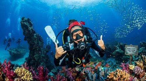 Scuba Di̇vi̇ng 8