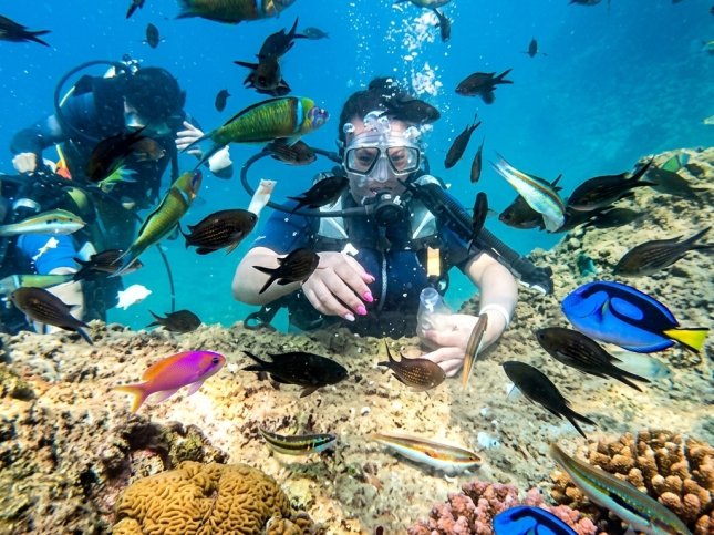 What is Scuba Diving? Your Gateway to the Underwater World