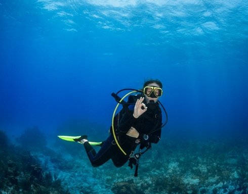 Wird Unterwasserfotografie Bei Der Tauchtour In Çamyuva Inklusiv