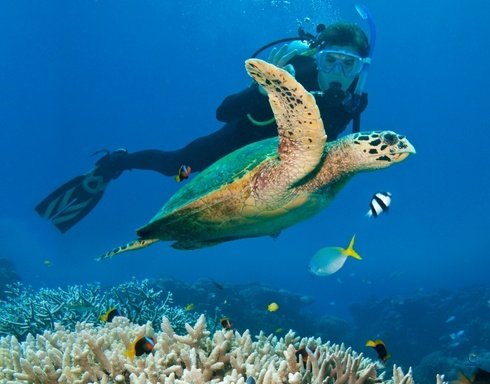 Antalya Scuba Diving Experience With Guest Review