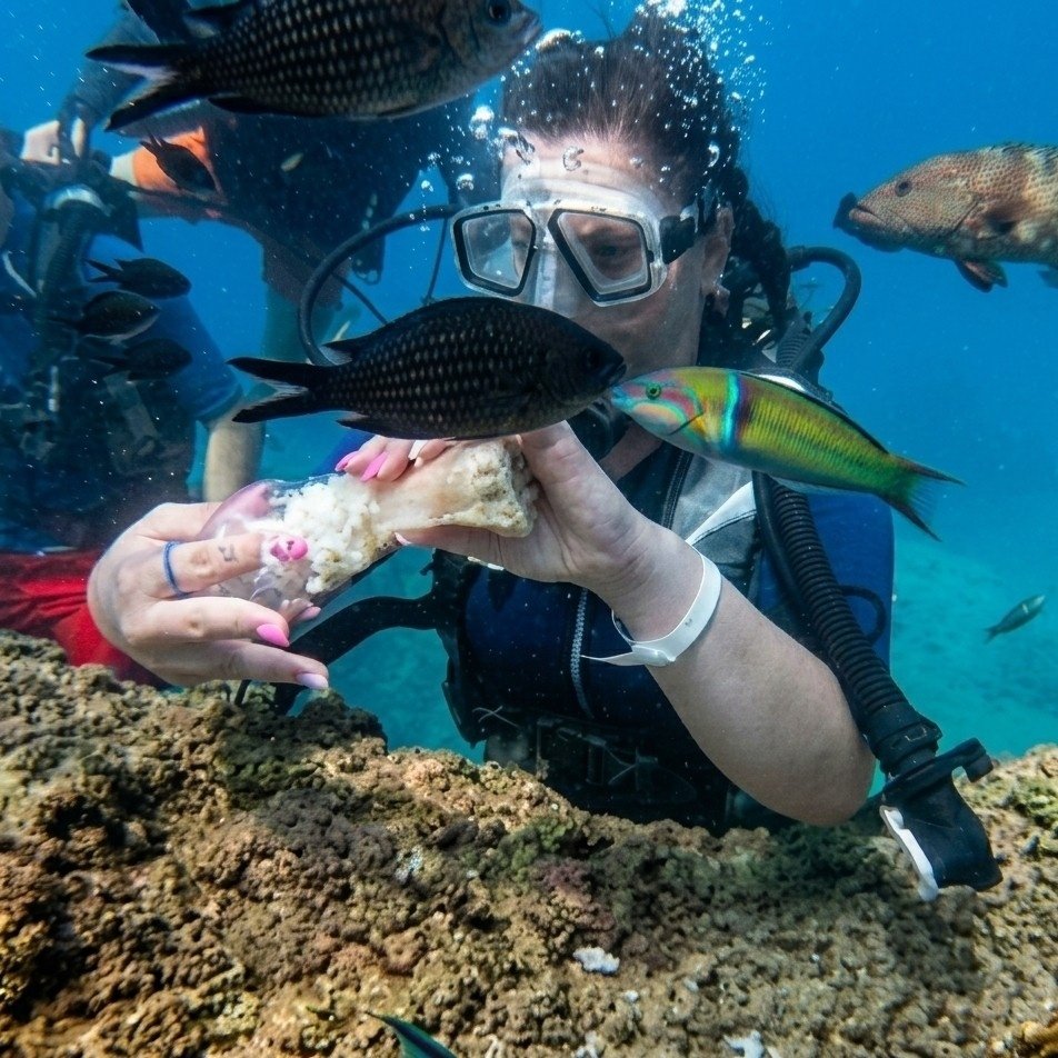 Kemer Tüplü Dalış Turu Akdeniz Sırlarını Keşfedin