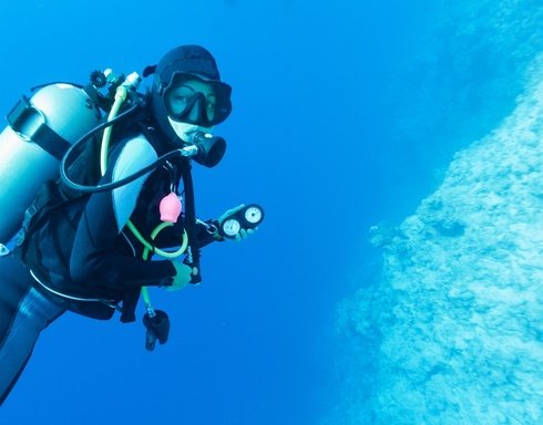 Цены На Дайвинг В Текирове И Программа Туров