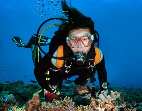 Preise Bei Kadriye Diving