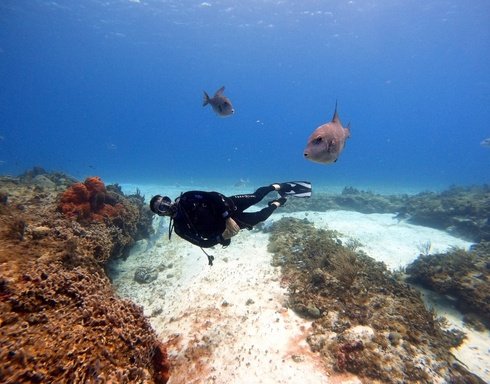 Boğazkent Diving Ein Einzigartiges Taucherlebnis