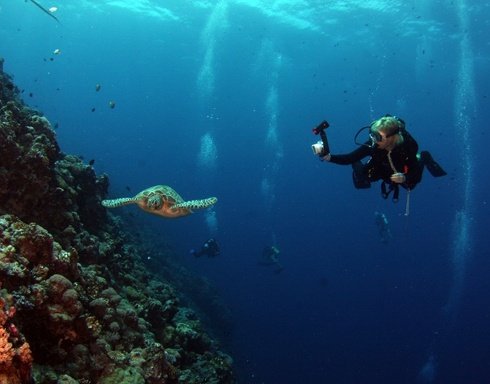 Antalya Tauchspots Top 5 Unterwasserparadiese & Experten (2)