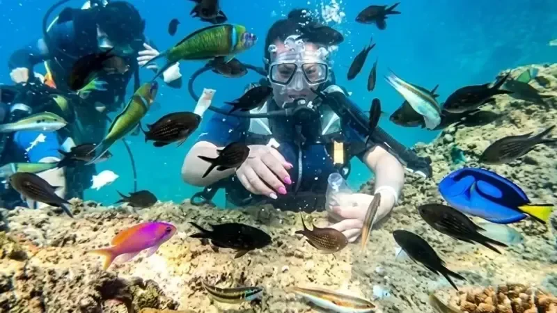 Konyaaltı Scuba Diving Round-Trip Transport And Lunch Included