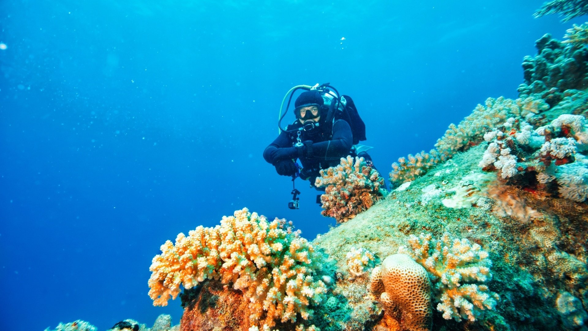 Scuba Diving 15