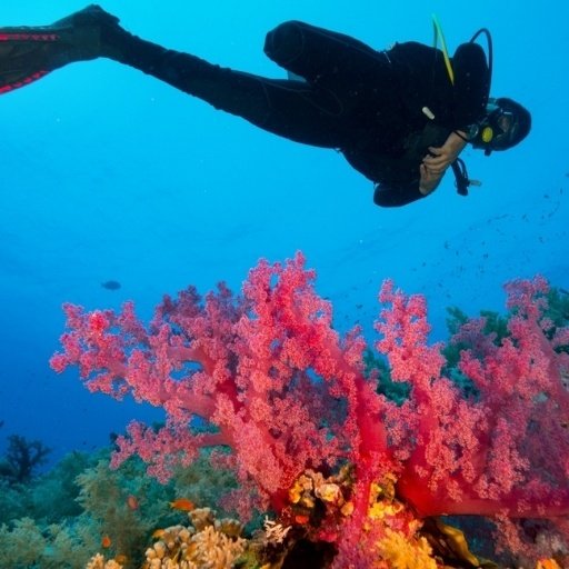 Antalya Dalış Fiyatları