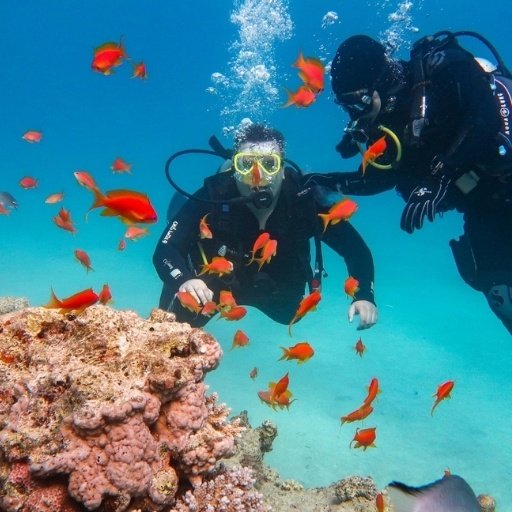 Kemer Dalış Fiyatları