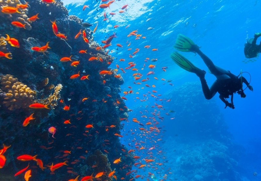 Antalya Tüplü Dalış Turları 2