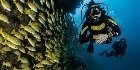 Tüplü Dalış Scuba Diving 2