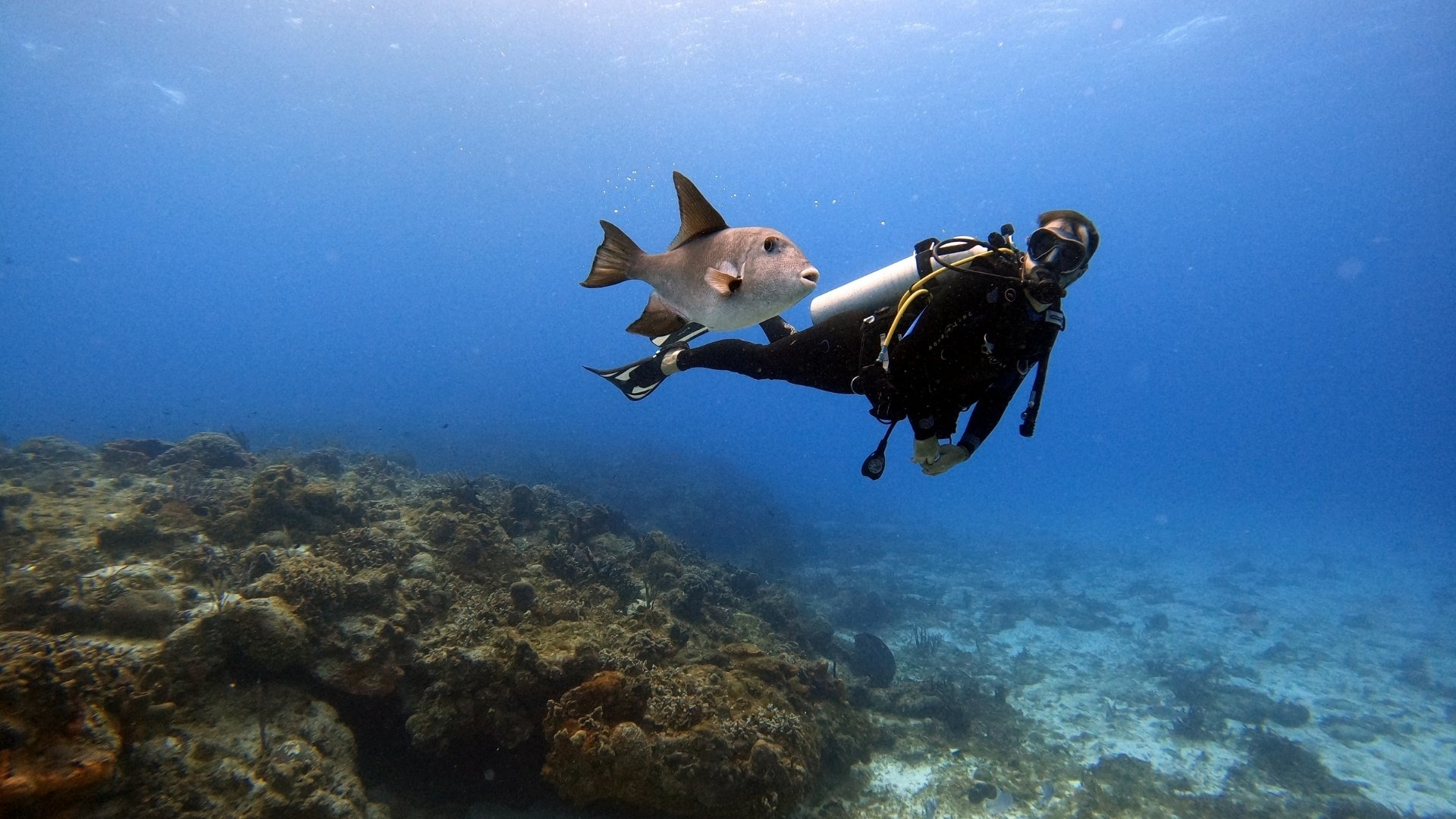 Tüplü Dalış Scuba Diving 5