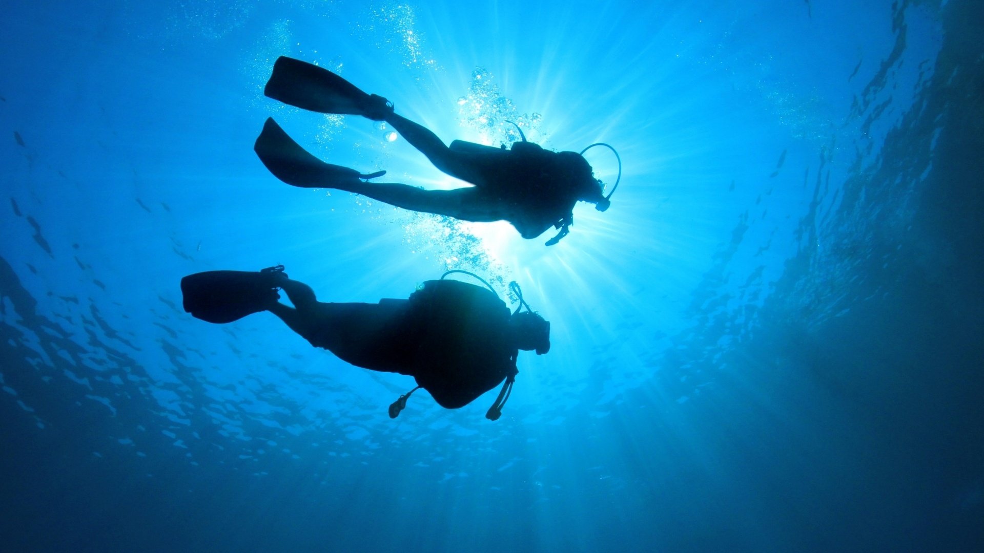 Tüplü Dalış Scuba Diving 1