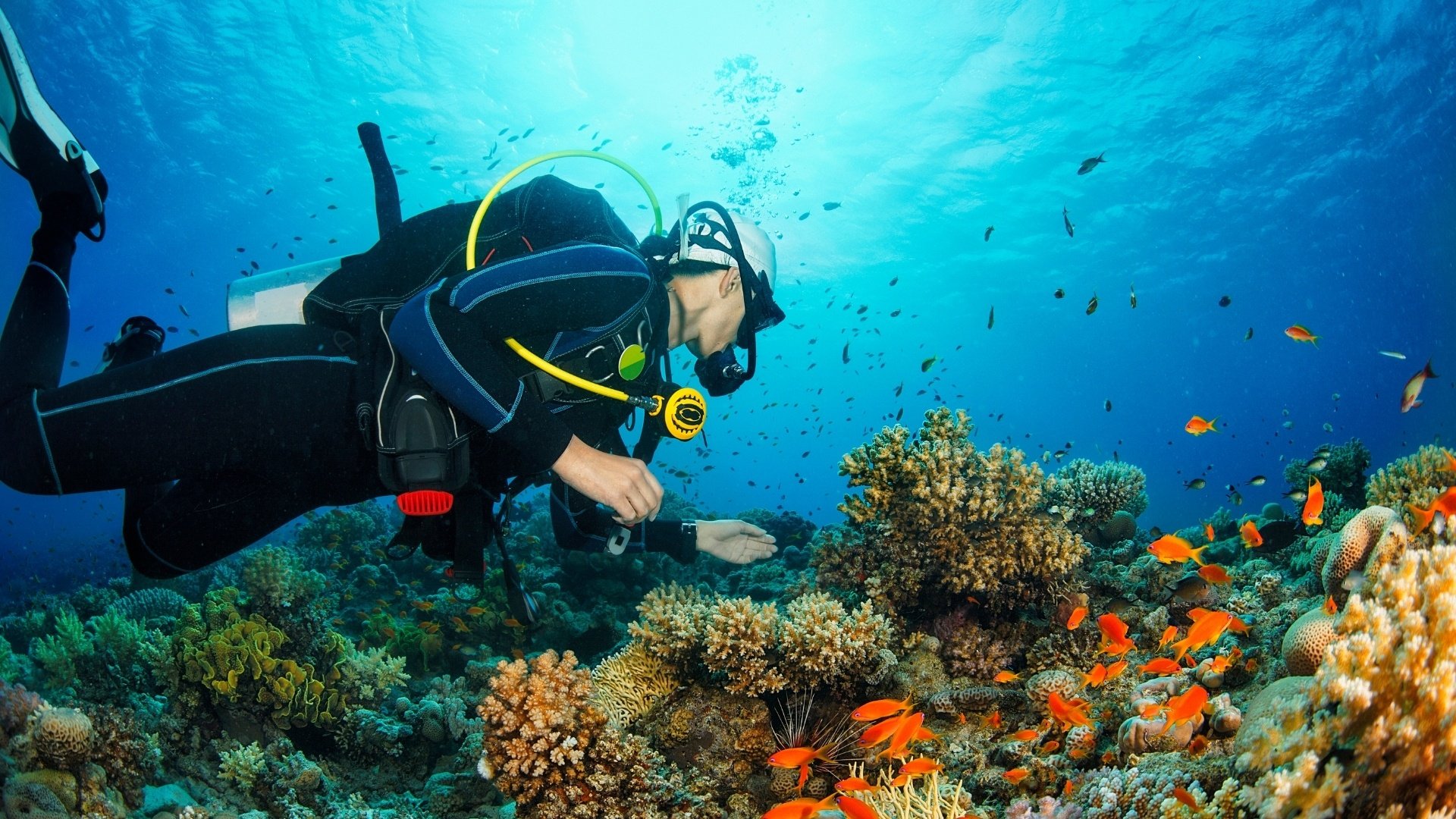 Tüplü Dalış Scuba Diving 2